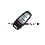ZN25_AD_4 KYDZ  Remote Audi Type