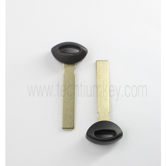 lame clef intelligente pour BMW